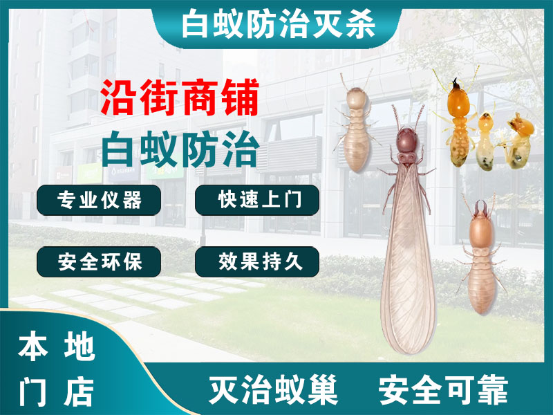 松江沿街商铺白蚁防治
