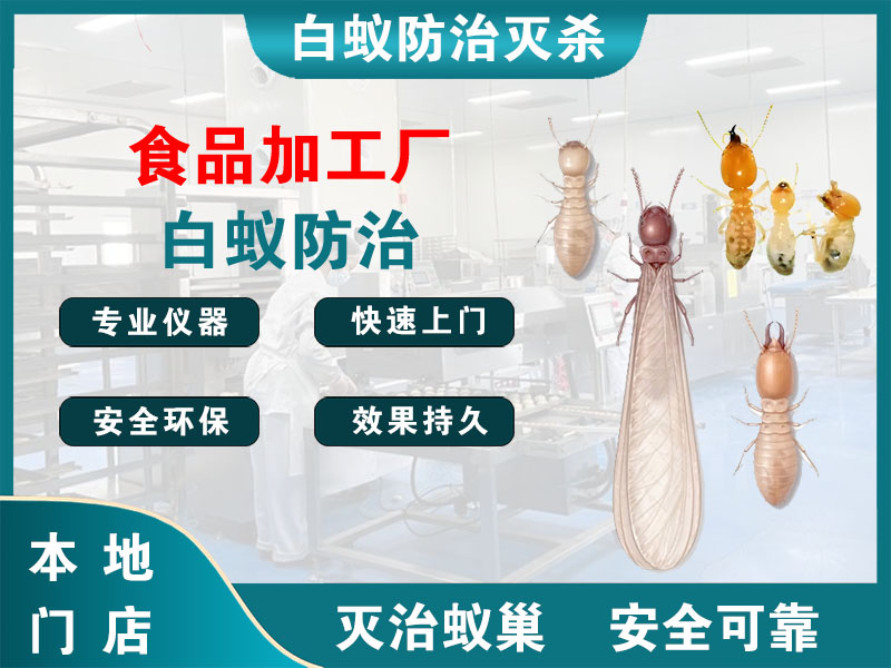 松江食品加工厂白蚁防治