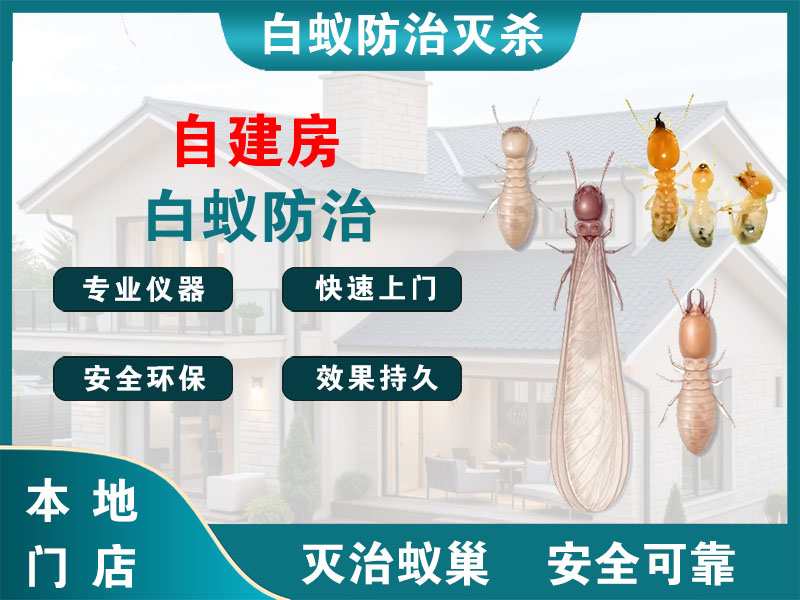 松江自建房白蚁防治