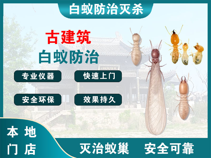松江古建筑白蚁防治