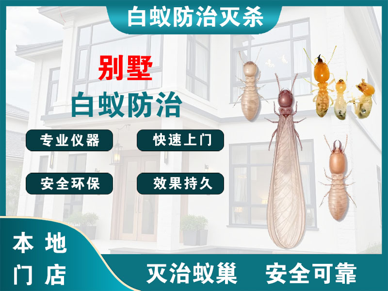 松江别墅白蚁防治