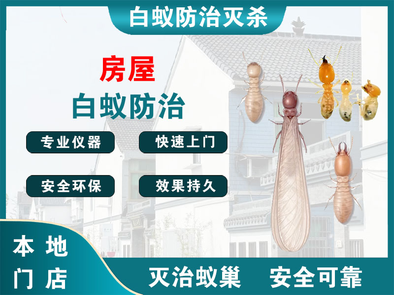 松江房屋白蚁防治